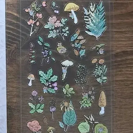 [BUNJANG] Seal Sticker Pack / 포카포카 씰스티커