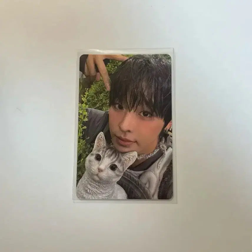 [BUNJANG] NCT WISH Riiku Color Jewel Photocard / 엔시티위시 컬러 쥬얼 리쿠