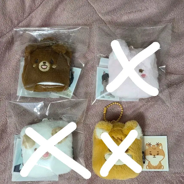 [BUNJANG] Day6 Pre-Order Photocard Holder Photo Set Keychain / 데이식스 쁘멀 포토 홀더 증사 키링 방