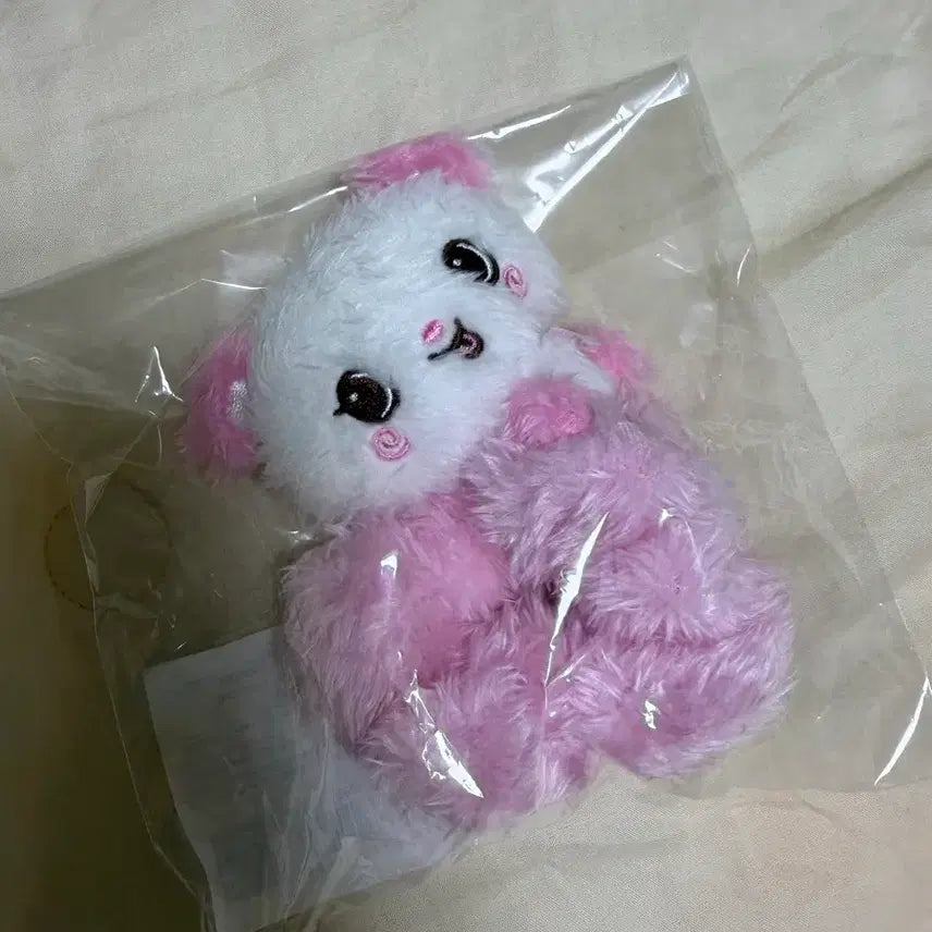 [BUNJANG] NCT WISH Sakuya Wish Doll Pangyi Scrunchie Photocard / 엔시티위시 사쿠야 위시돌 팡이 스크런치 양도 판매 포카