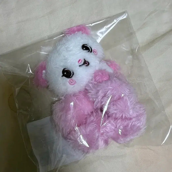 [BUNJANG] NCT WISH Sakuya Wish Doll Pangyi Scrunchie Photocard / 엔시티위시 사쿠야 위시돌 팡이 스크런치 양도 판매 포카
