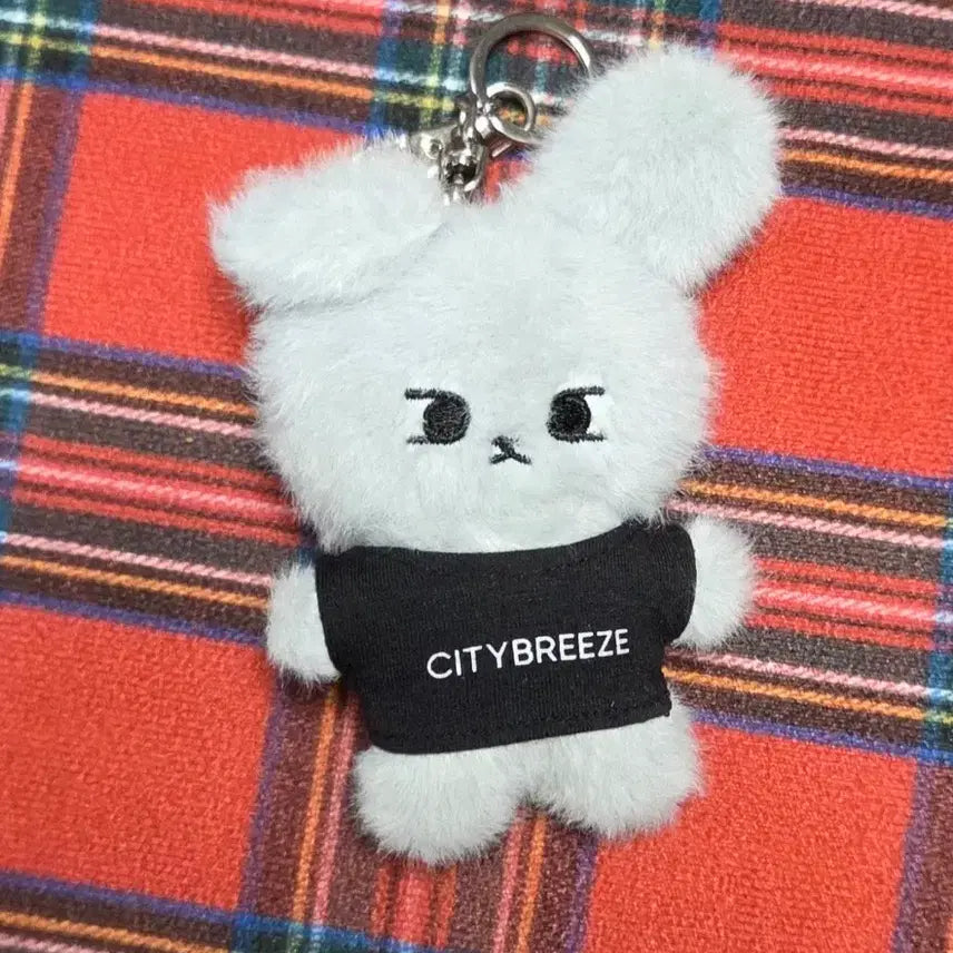 [BUNJANG] NCT Doyoung City Breeze Doll Keychain / NCT도영 시티브리즈 인형