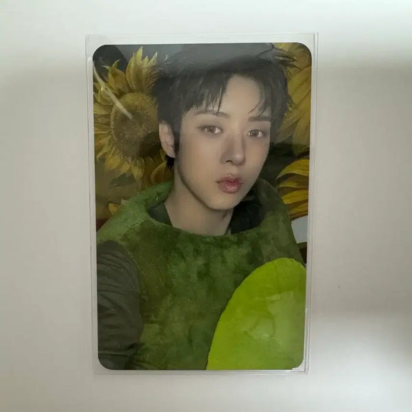 [BUNJANG] NOWZ JINHYUK Studio Photocard / 나우즈 진혁 공방 포카