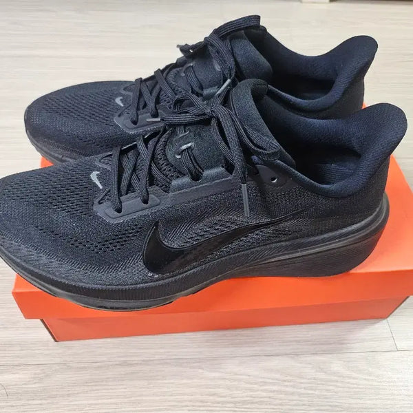 [BUNJANG] Nike Pegasus 42 Black 290mm / 나이키 페가수스 42 블랙 290mm