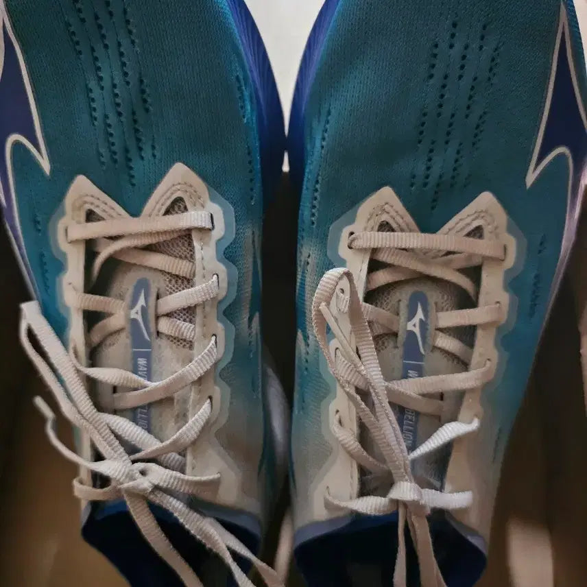 [BUNJANG] Mizuno Rebellion Pro 2 Running Shoes (265mm) / 미즈노 리벨리온 프로2 265mm 팔아요