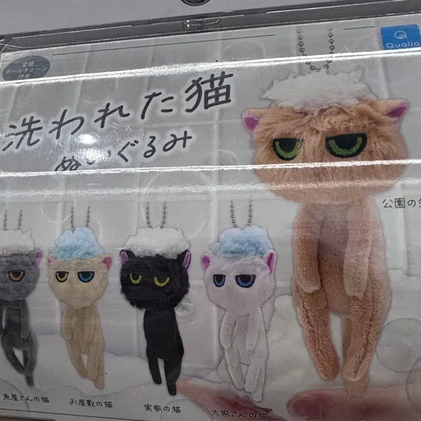 [BUNJANG] Bathed Cat Plush Keychain Gacha / 목욕 당한 고양이 인형 키링 가챠