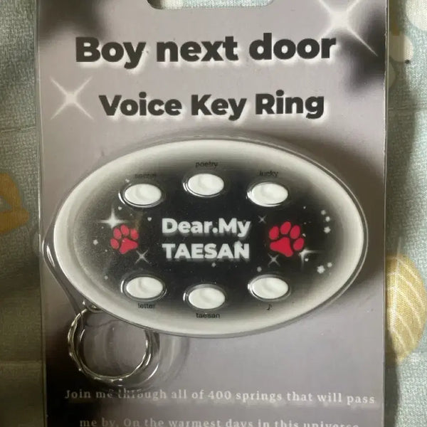 [BUNJANG] Taesan Voice Keychain / 태산 보이스 키링