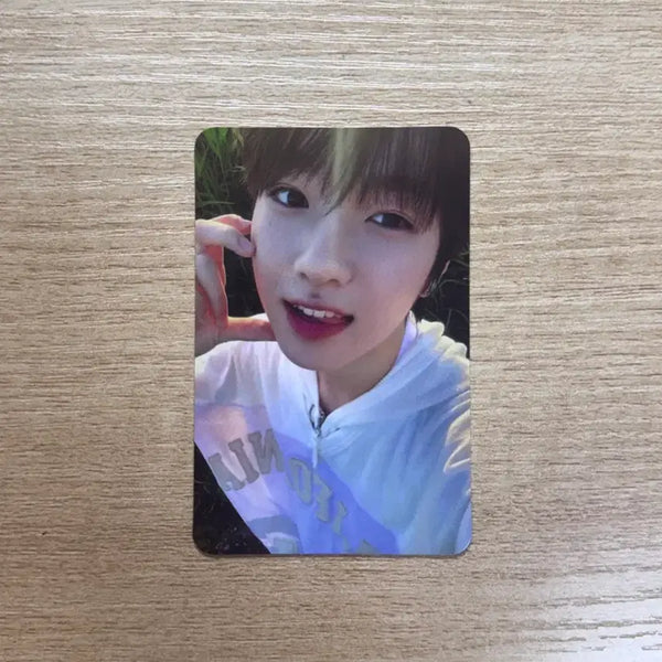 [BUNJANG] STAYC Sakuya Photocard / 스테디 트래카 사쿠야