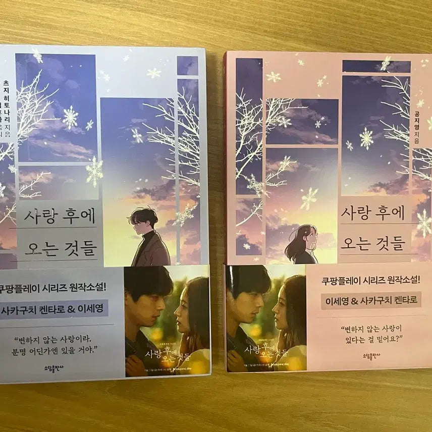 [BUNJANG] The Things After Love Novel / (새책) 사랑후에 오는 것들
