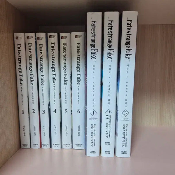 [BUNJANG] Fate/Strange Fake Novels and Comics / 페이트 스트레인지 페이크 페스페 소설책 코믹스