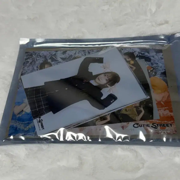 [BUNJANG] Cutie Street Sakuraba Haruka Parutang Bromide / 큐티스트리트 사쿠라바 하루카 파루땅 브로마이드