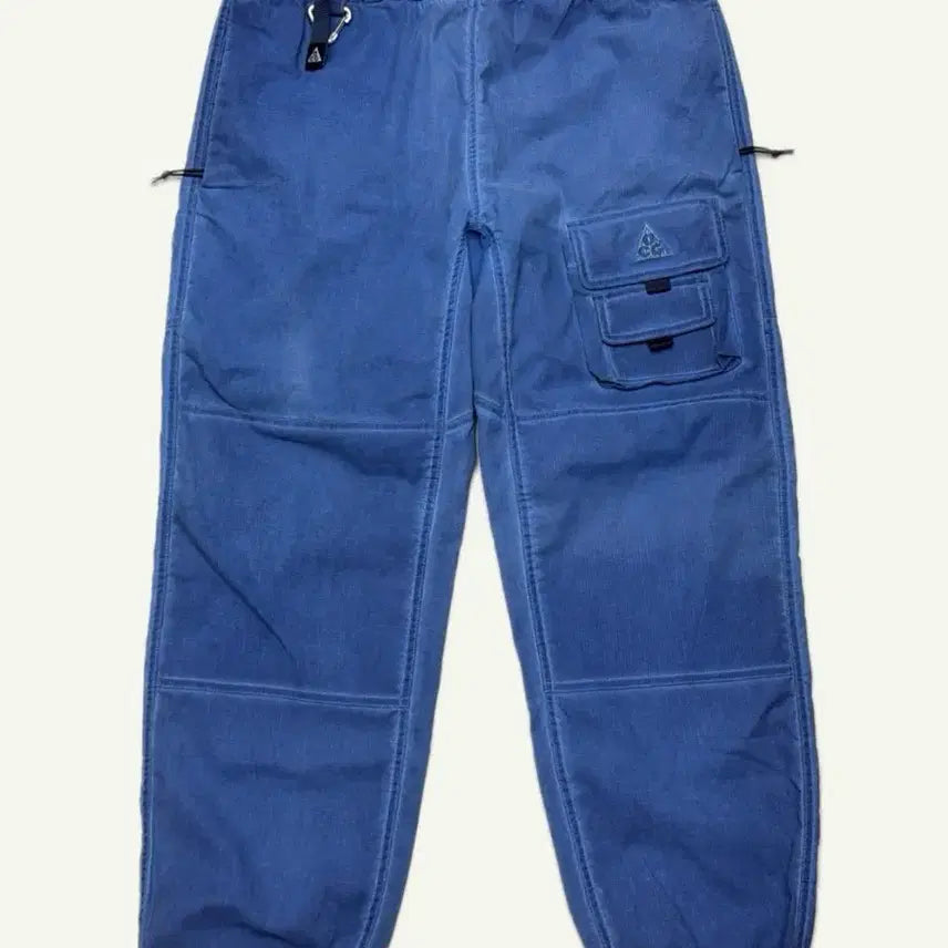 [BUNJANG] Nike ACG Watchman Cargo Jogger Pants Blue Asia M / 나이키 ACG 워치맨 카고 조거 팬츠 블루 아시아 M