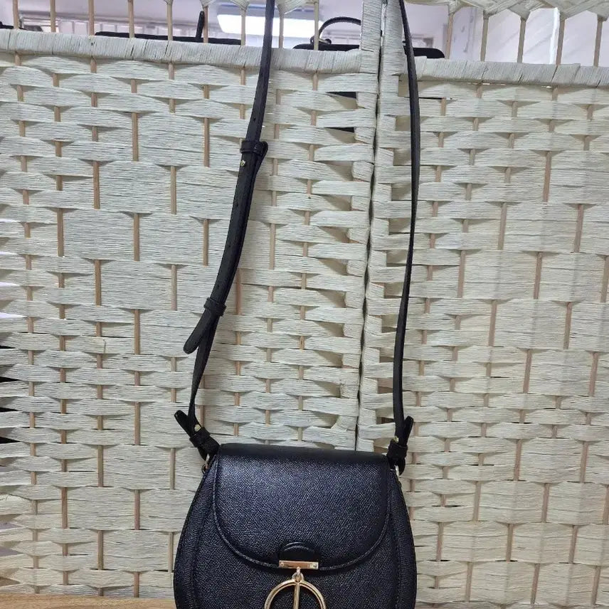 [BUNJANG] Louis Quatorze Crossbody Bag / 루이가또즈가방