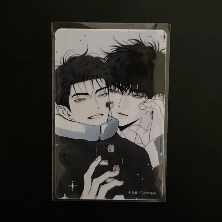 [BUNJANG] XX SEcret Photocard / 비많엑 비밀이 많은 XX 투니크 헤이포카 양도
