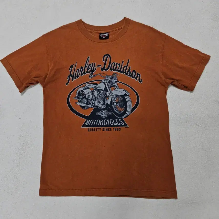 [BUNJANG] Harley-Davidson Motorcycle T-Shirt / 할리데이비슨 모터사이클 반팔티 급처