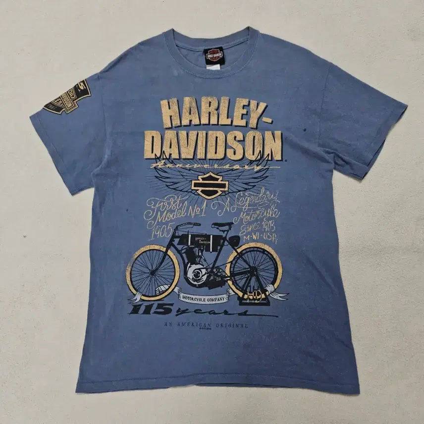 [BUNJANG] Harley-Davidson 115th Anniversary T-Shirt / 할리데이비슨 115주년 기념 반팔티 급처