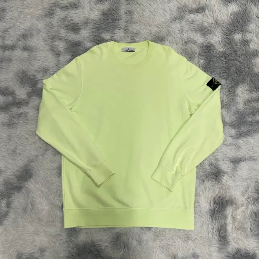 [BUNJANG] Stone Island 23SS Sweatshirt Light Green XXL / [23SS] 스톤아일랜드 맨투맨 라이트 그린 [2XL]
