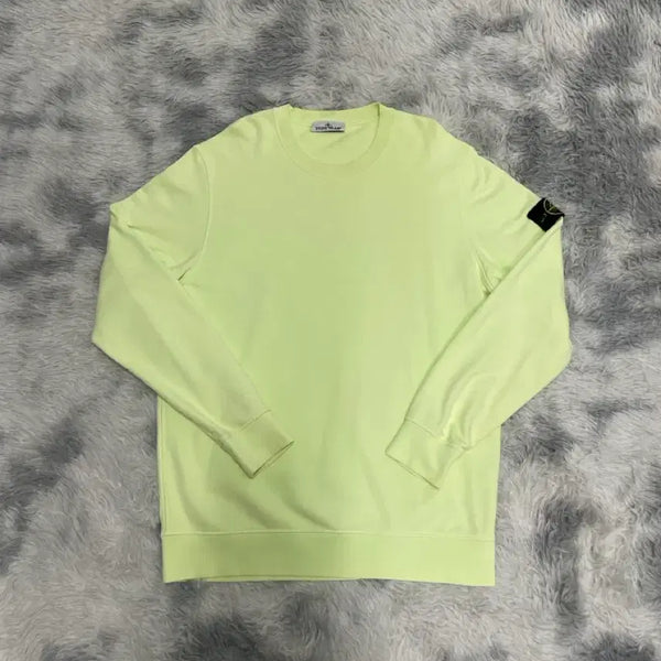 [BUNJANG] Stone Island 23SS Sweatshirt Light Green XXL / [23SS] 스톤아일랜드 맨투맨 라이트 그린 [2XL]