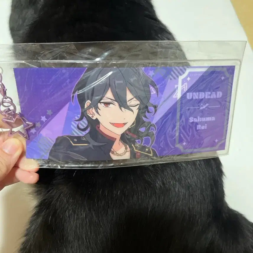 [BUNJANG] Ensemble Stars Rei Sakuma Ticket Keyring / 앙스타 사쿠마 레이 티켓 키링 굿즈
