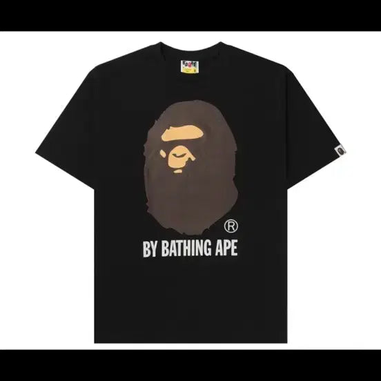 [BUNJANG] BAPE Short Sleeve T-Shirt / 베이프 반팔로 옷 교신합니다