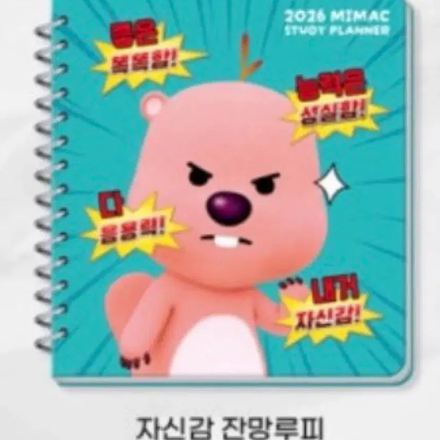 [BUNJANG] Megastudy Luffy Planner / 메가스터디 루피플래너