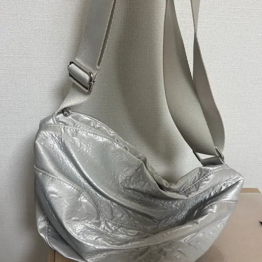 [BUNJANG] Colocynth Pumpkin Bag Silver / 콜로신스 펌킨백 실버