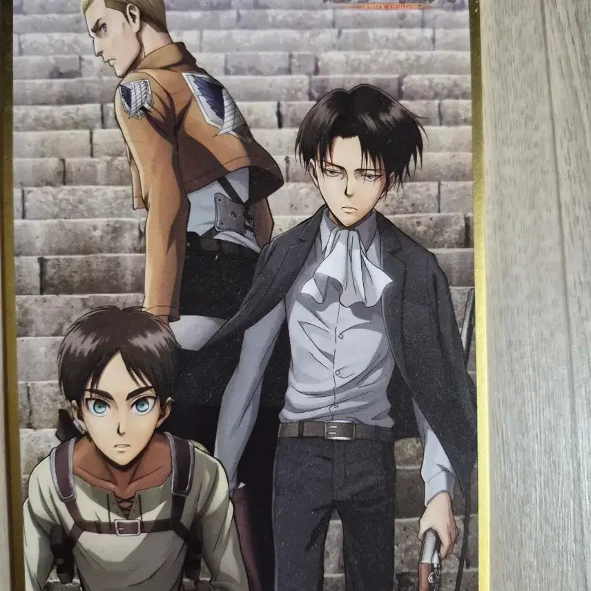 [BUNJANG] Attack on Titan Levi Goods / 진격의거인 리바이 굿즈