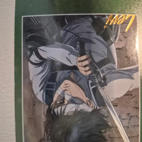 [BUNJANG] Attack on Titan Levi Goods / 진격의거인 리바이 굿즈