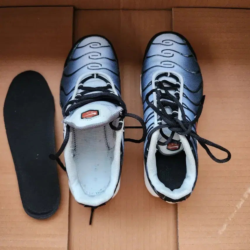 [BUNJANG] Nike Air Max Plus Tuning Sneakers / 나이키 에어맥스 플러스 튜닝 팝니다