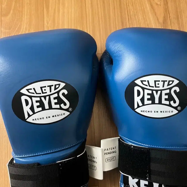 [BUNJANG] Reyes Traditional Training Gloves 14oz / [미사용 새상품]레예스 트레디셔널 트레이닝 글러브 14oz