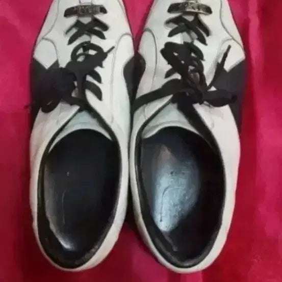 [BUNJANG] Dior Sneakers White Black 250mm / 화이트 블랙 스니커즈