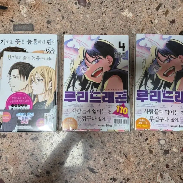 [BUNJANG] Hanabira wa Romance o Ryuusuru (A Flower Blooms in the Rain) Vol. 20 & Ruriragon Vol. 4 Set / 향기로운 꽃은 늠름하게 핀다 20권 / 루리드래곤 4권 (2권 세트)