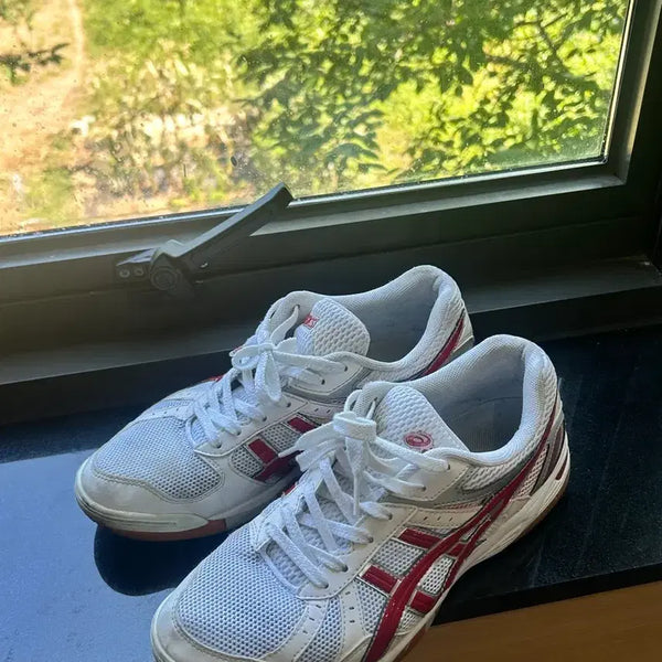 [BUNJANG] ASICS Roterre FL5 Sneakers (270) / 아식스 로테리브레 FL5 270