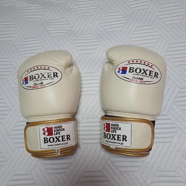 [BUNJANG] Asami Boxing Gloves 8oz Ivory / 아사미 복싱 글러브 8oz 아이보리