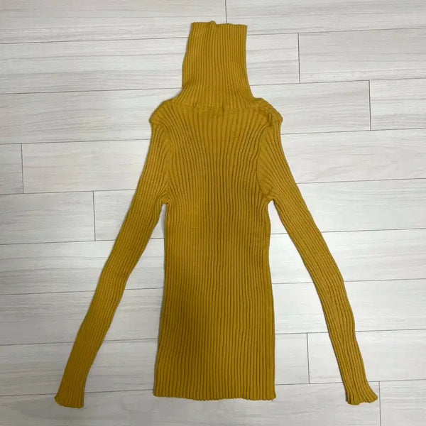 [BUNJANG] Slim Fit Ribbed Turtleneck Knit / 슬림핏 골지 폴라 니트