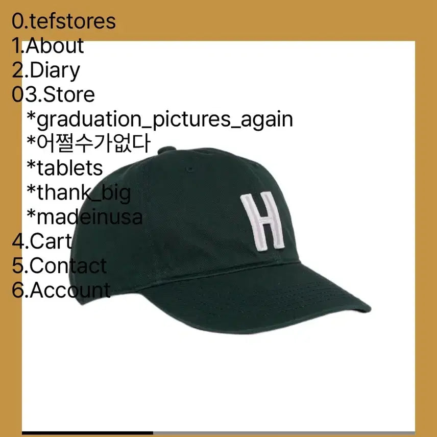[BUNJANG] TEFS STORE H Ball Cap Green M Size / 테프스토어 H 그린 M 사이즈