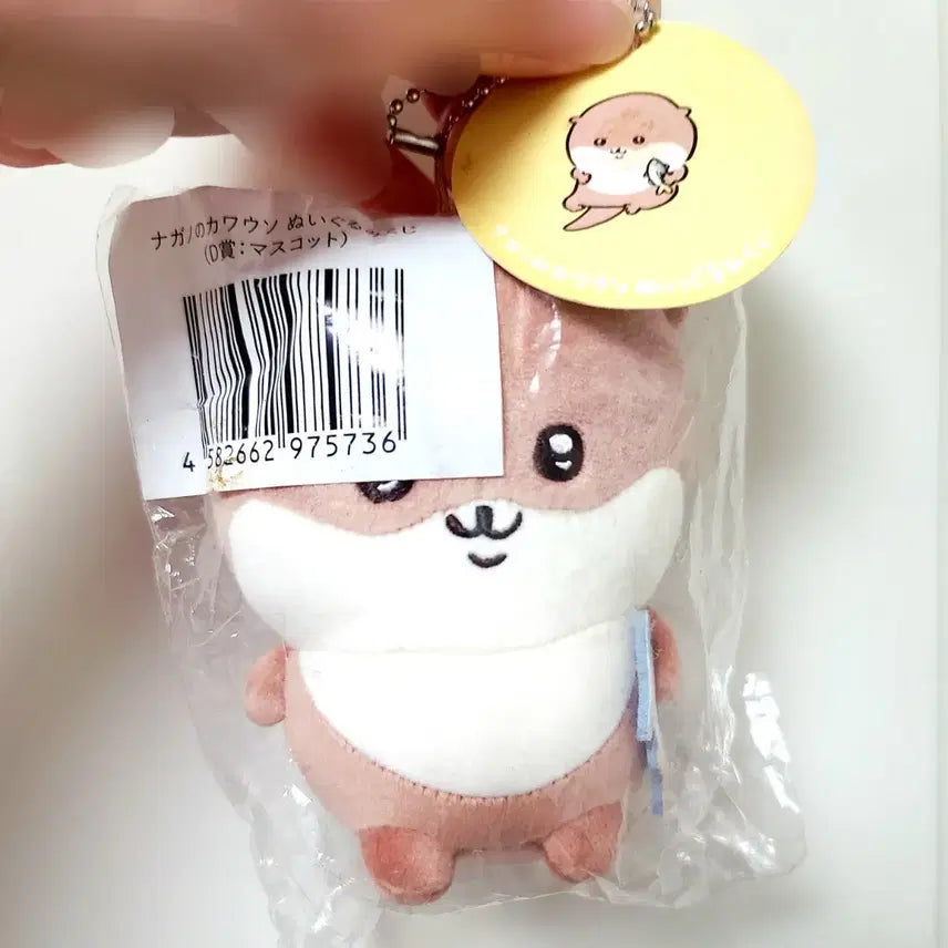 [BUNJANG] Cheekawa Otter Plush Doll D Prize / 먼작귀 치이카와 수달 인형 D상