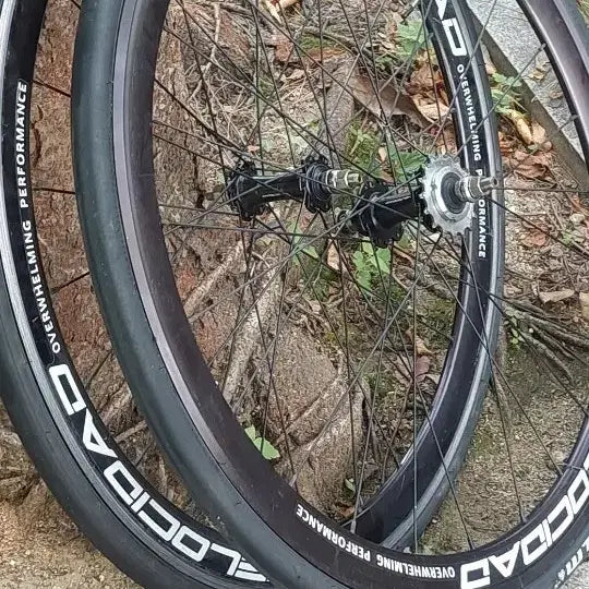 [BUNJANG] Velosolo Velocity Wheelset / 픽시용 벨로시닷 휠셋