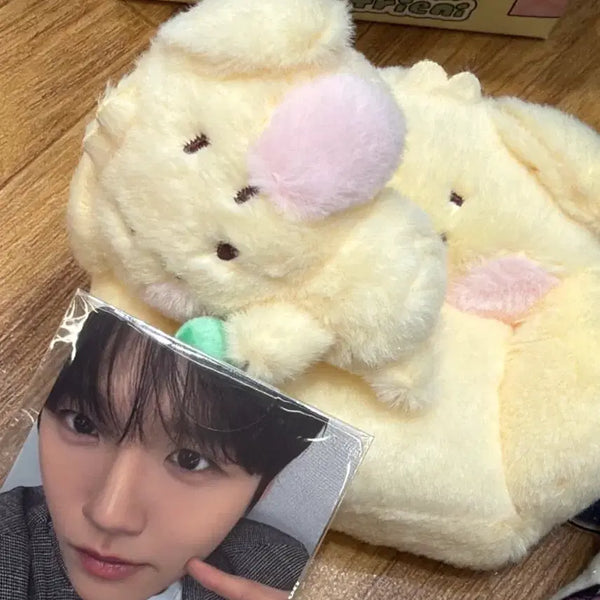 [BUNJANG] Dangt Nini Room Plush Set + Scarf Bundle / (일괄 안전결제)댕트니니 룸플러시 세트+스카프
