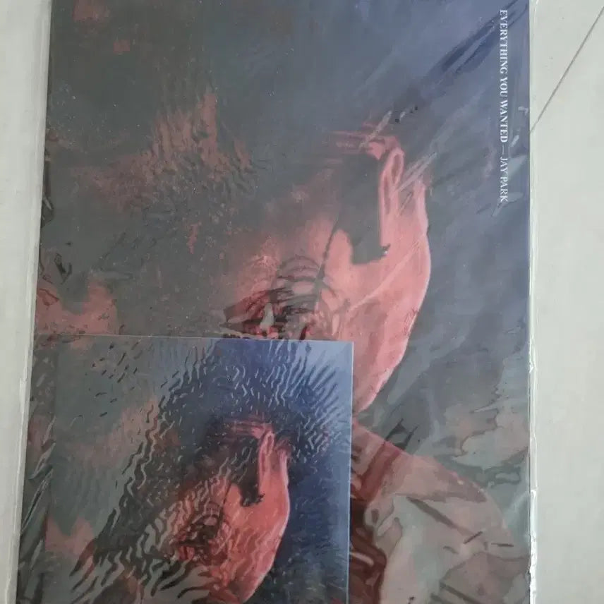 [BUNJANG] Jay Park Everything You Wanted Album (Sealed) / 박재범 everything you wanted 미개봉