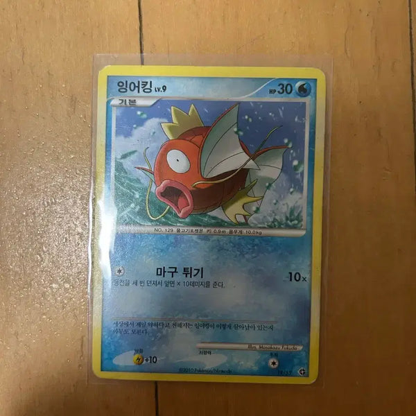 [BUNJANG] Pokemon Magikarp Card (2010) / DP 포켓몬 고전카드 잉어킹 2010