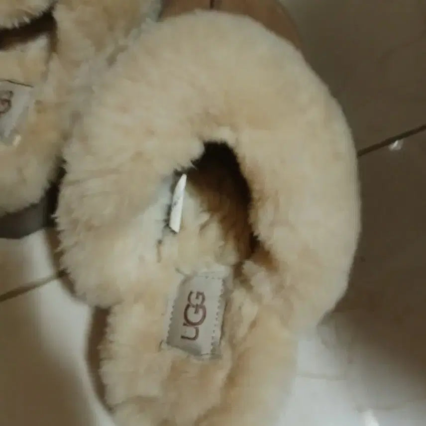 [BUNJANG] Ugg Slippers Beige USA 7 / 어그 슬리퍼 베이지색/usa7