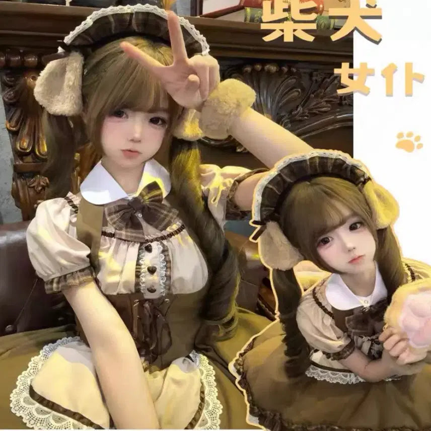 [BUNJANG] Shiba Inu Lolita Maid Outfit Set / 일본 메이드카페 시바견 로리타 메이드복