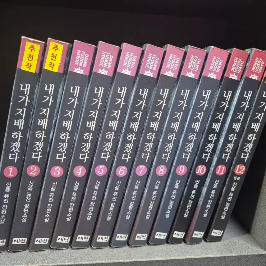 [BUNJANG] Shin Yul Modern Fantasy Collection Volumes 1-12 / 내가지배하겠다(신율현대판타지)1~12완 추천도서