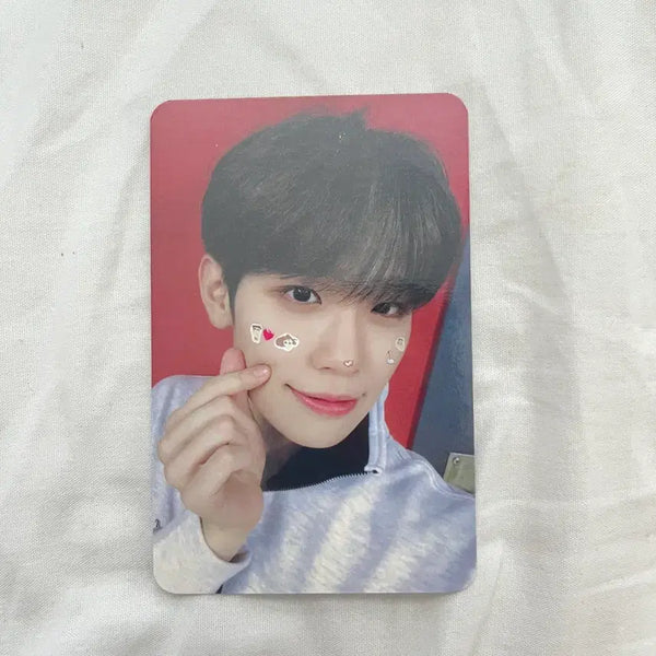 [BUNJANG] ZB1 Sung Hanbin Melting Point China POB Photocard / 제베원 제로베이스원 김태래 멜팅포인트 중국 특전 포카