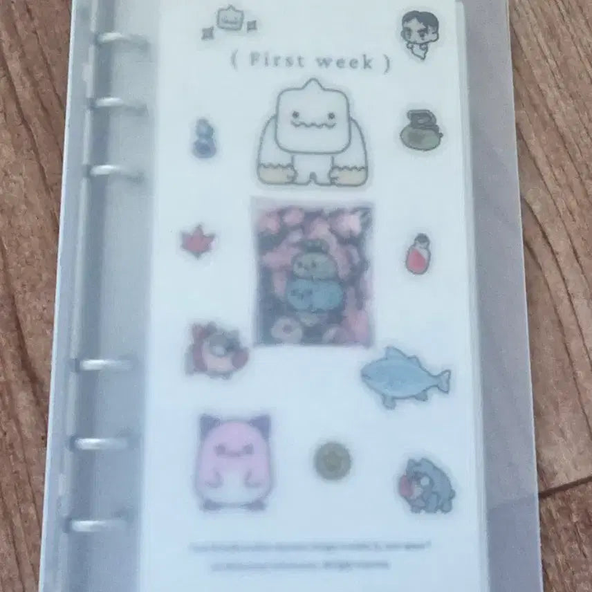 [BUNJANG] A6 Cash Budget Binder / 현금바인더 a6 현금생활저축 바인더
