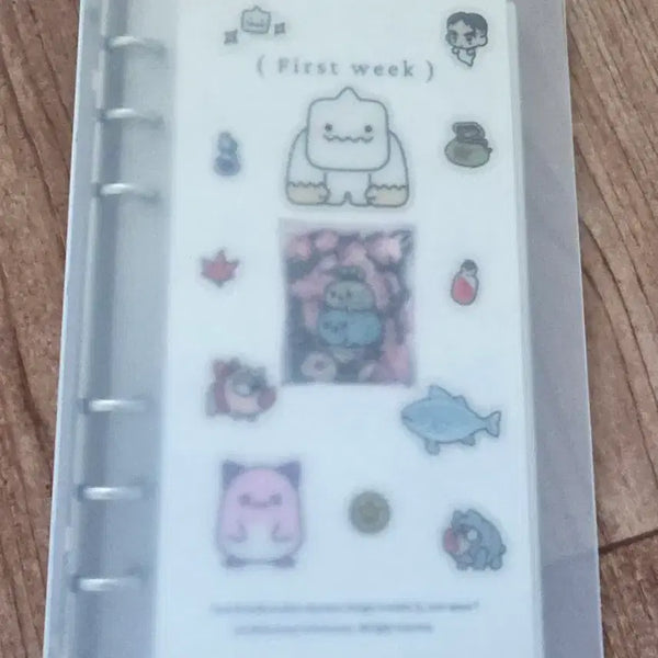 [BUNJANG] A6 Cash Budget Binder / 현금바인더 a6 현금생활저축 바인더
