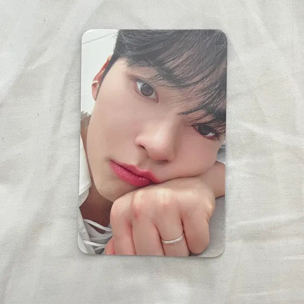 [BUNJANG] ZEROBASEONE Sung Hanbin First Fanmeeting Photocard / 제로베이스원 제베원 성한빈 첫 팬미팅 포카