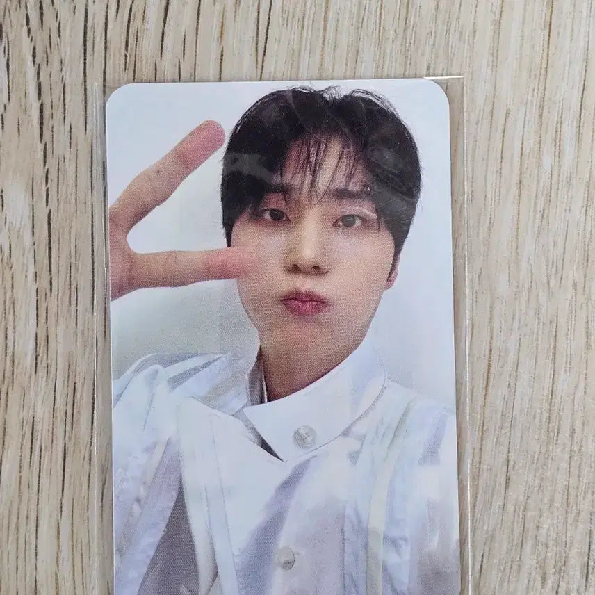 [BUNJANG] DAY6 Young K Young K's Christmas Lucky Draw Photocard / (미개봉) 데이식스 영케이 영기스트 예사 예스24 특전 미공포 포카