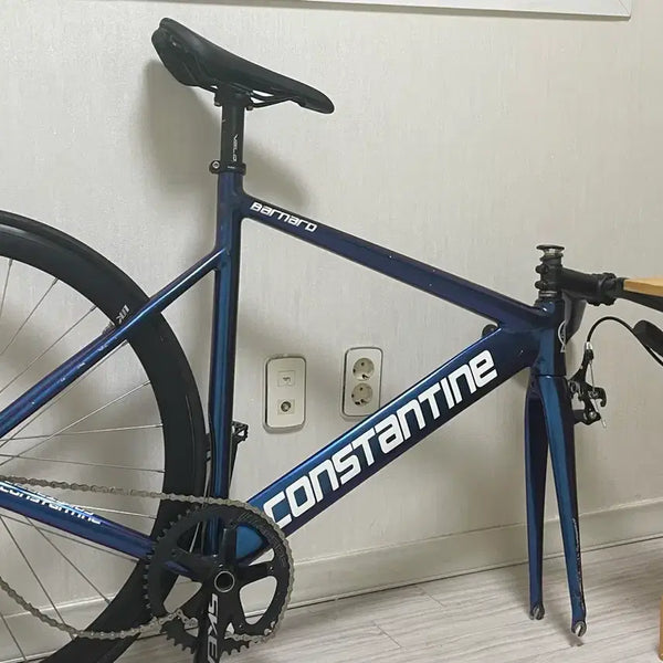 [BUNJANG] Constantine Bernard Chameleon Track Bicycle (Customized) / 픽시 콘스탄틴버나드 카멜레온 반차 판/대